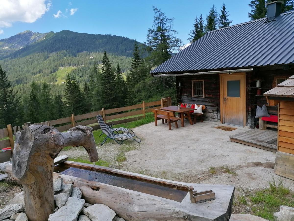 Vila Ampferkaralm Huette Forstau  Exteriér fotografie