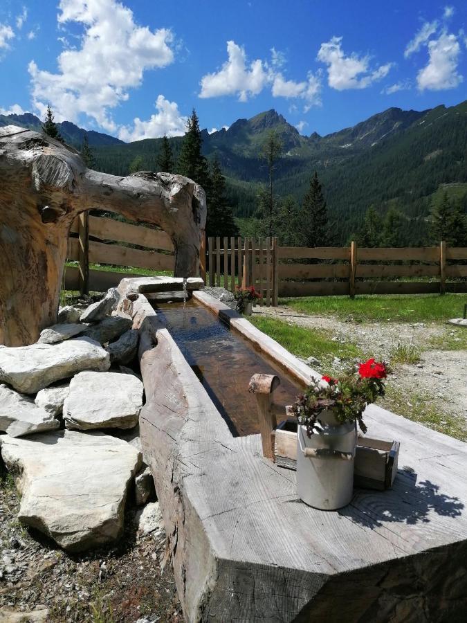 Vila Ampferkaralm Huette Forstau  Exteriér fotografie