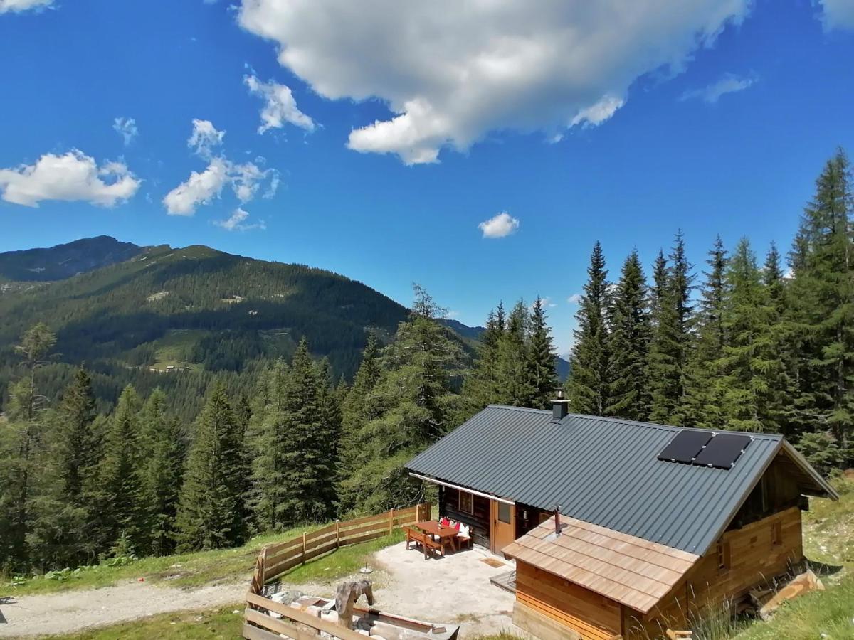Vila Ampferkaralm Huette Forstau  Exteriér fotografie