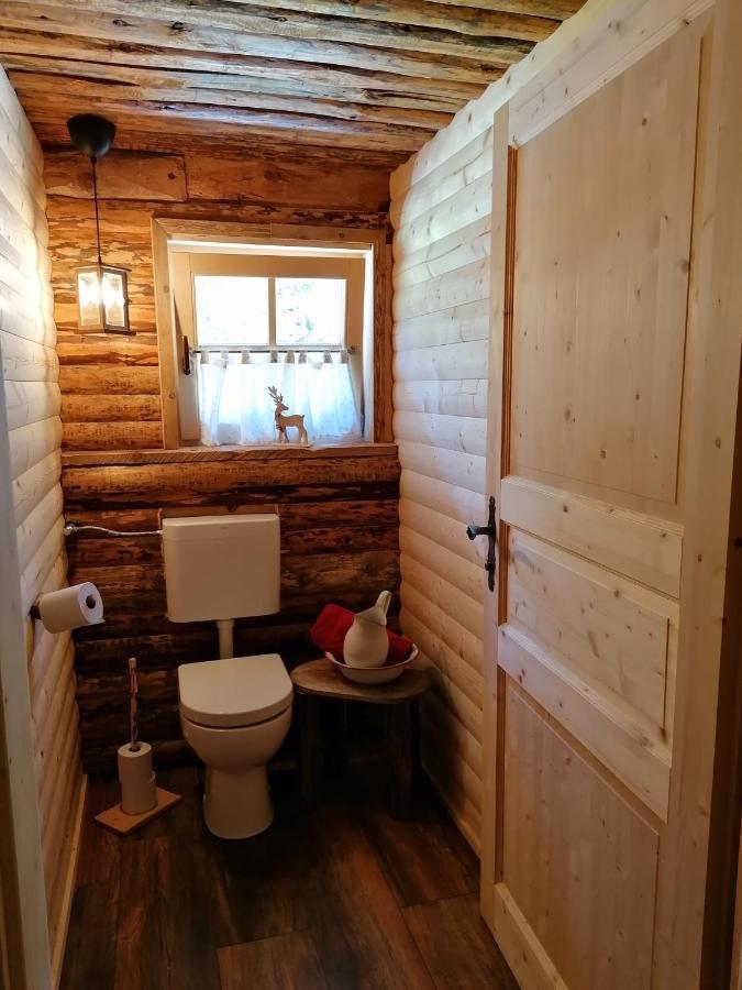 Vila Ampferkaralm Huette Forstau  Exteriér fotografie